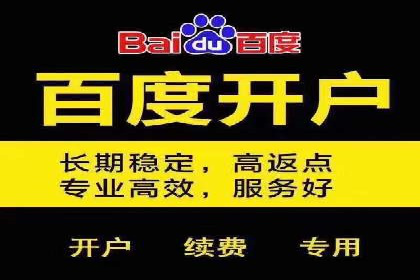 深度解析：百度竞价排名服务的广告效果